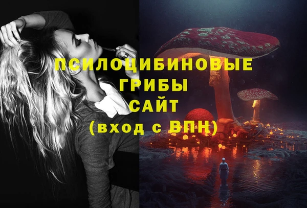 соль ск Алексеевка