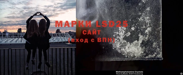 стафф Алзамай