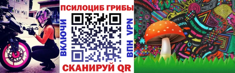 Галлюциногенные грибы MAGIC MUSHROOMS  магазин продажи наркотиков  Петрозаводск 