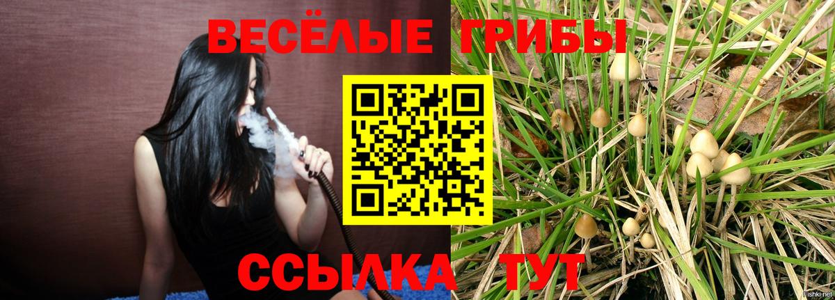Псилоцибиновые грибы мухоморы Петрозаводск