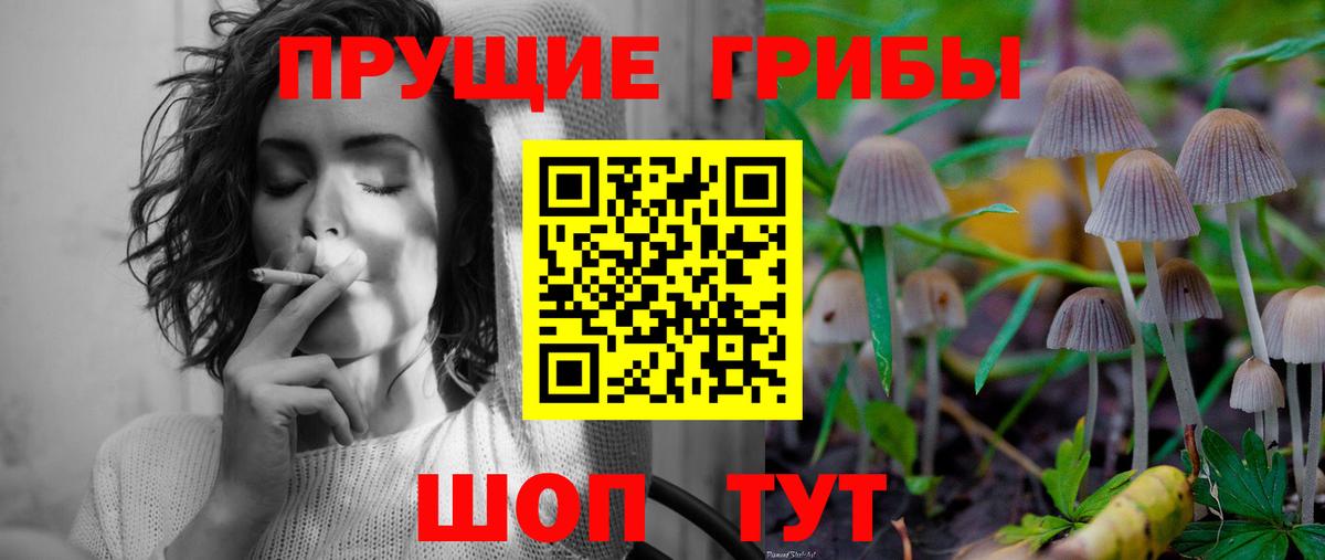Галлюциногенные грибы Magic Shrooms  Вход с VPN  Галлюциногенные грибы мухоморы  Петрозаводск 
